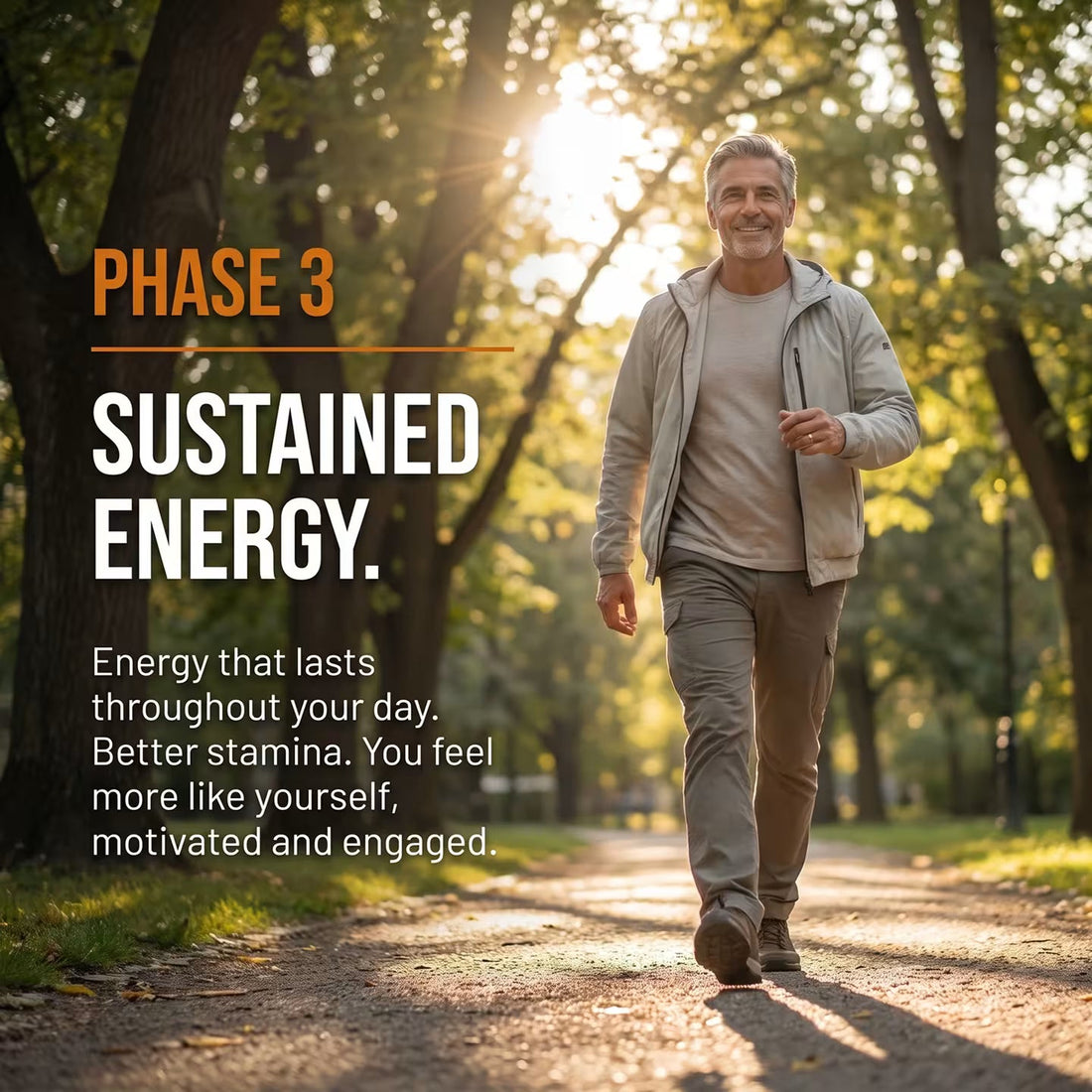 Phase 3 – sustained energy
